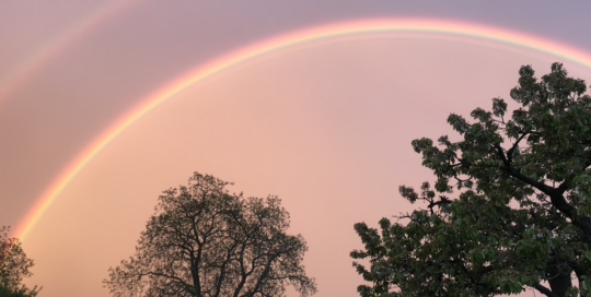 Regenbogen-berlin